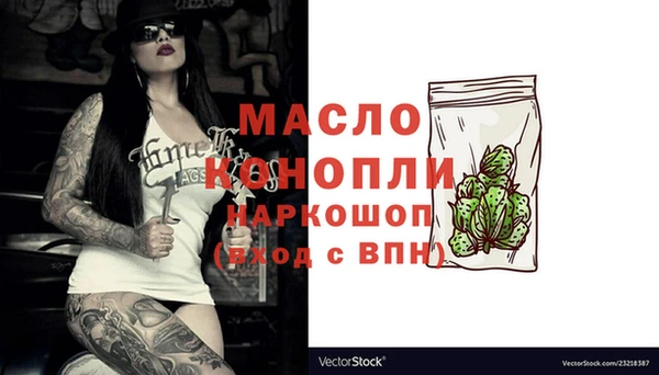 молекула духа Няндома