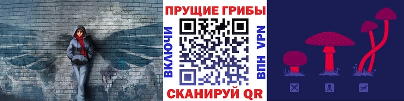 Галлюциногенные грибы Psilocybe  omg tor  Кунгур 