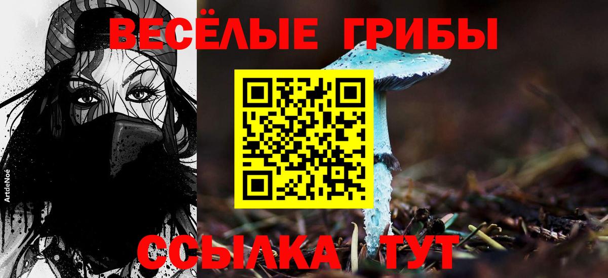 Галлюциногенные грибы MAGIC MUSHROOMS  Вход с VPN  что такое   Кунгур 