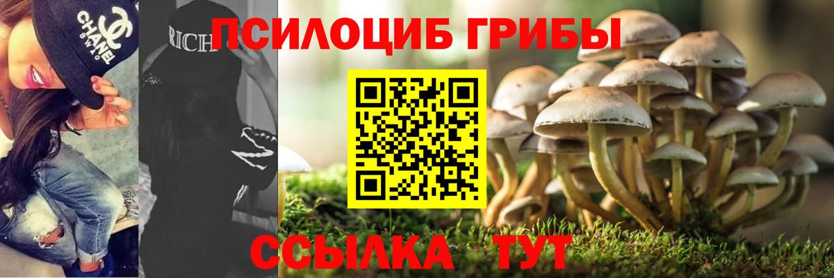 Псилоцибиновые грибы Magic Shrooms Кунгур