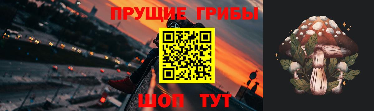 Псилоцибиновые грибы мицелий Кунгур